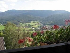 App.Osser/Balkon, 2.Stock-Blick vom Balkon auf unsere "8-Tausender"