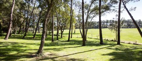 Jardines del alojamiento