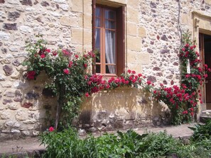 face maison mitoyenne