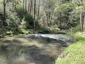 Creek House creek🐟