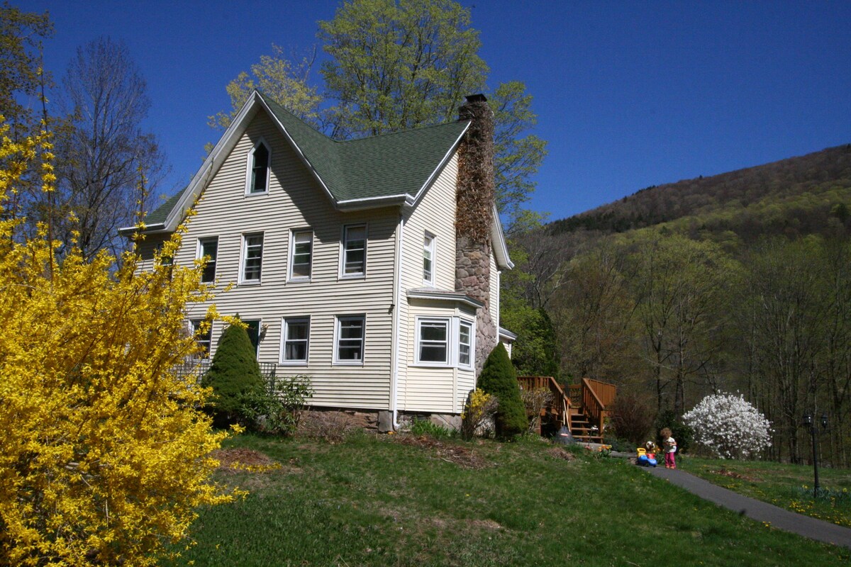 Main Image