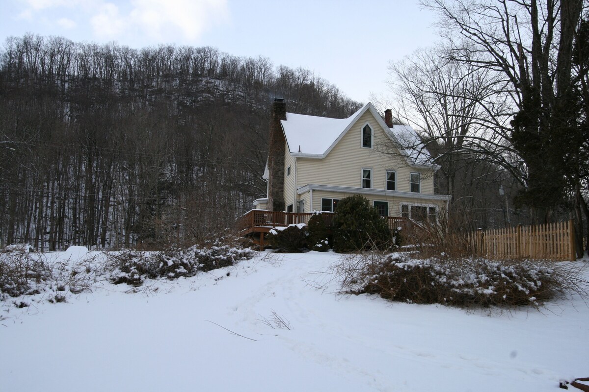 Main Image