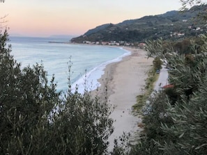Strand