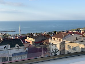 Beach/ocean view