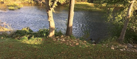 View of the Little Pigeon River from the back deck