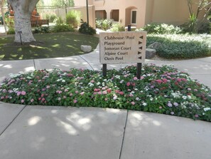 Beautiful grounds 