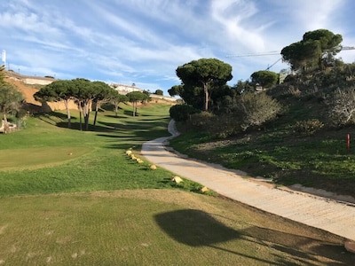 Summergarden and Beach