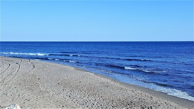 Summergarden and Beach