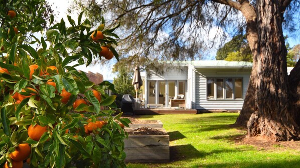 Rear Yard