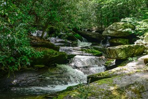 Hickory Nut Creek in the Back Yard
 
Buddy Morrison Photography