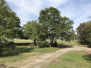 Driveway view