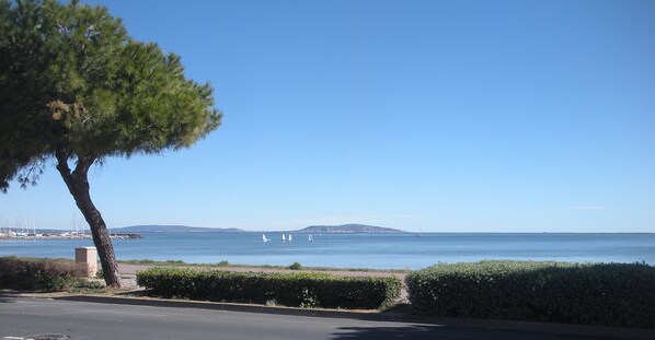 Beach/ocean view