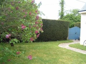 Garden, Park
