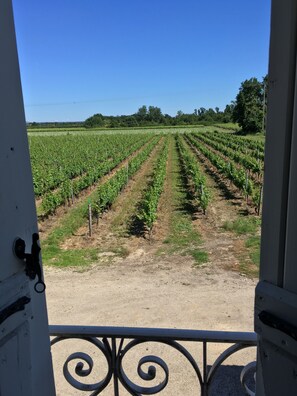 vue de la chambre