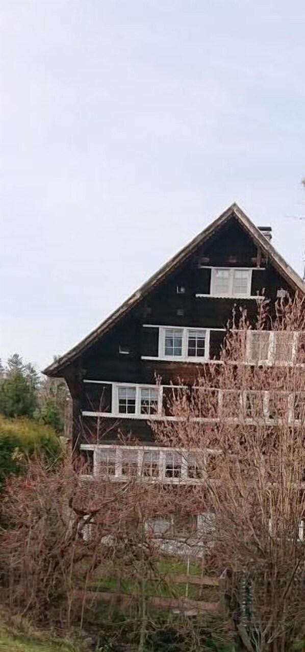 Picture 2