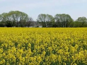 Ausblick Umgebung  FH Diedrich-Wenke