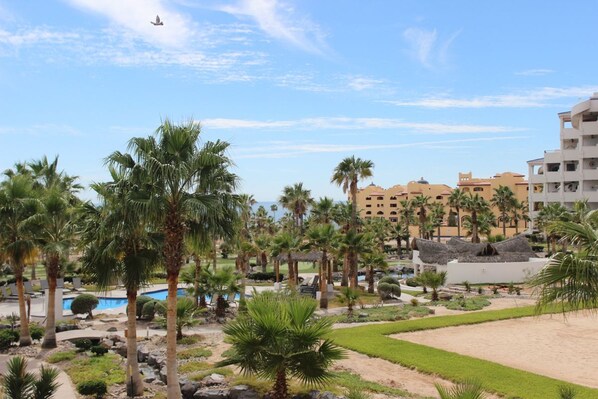 Garden view