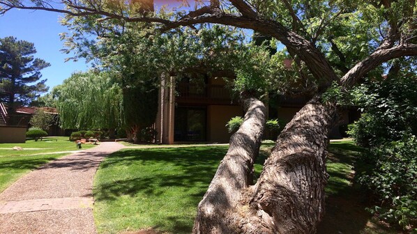 Property grounds