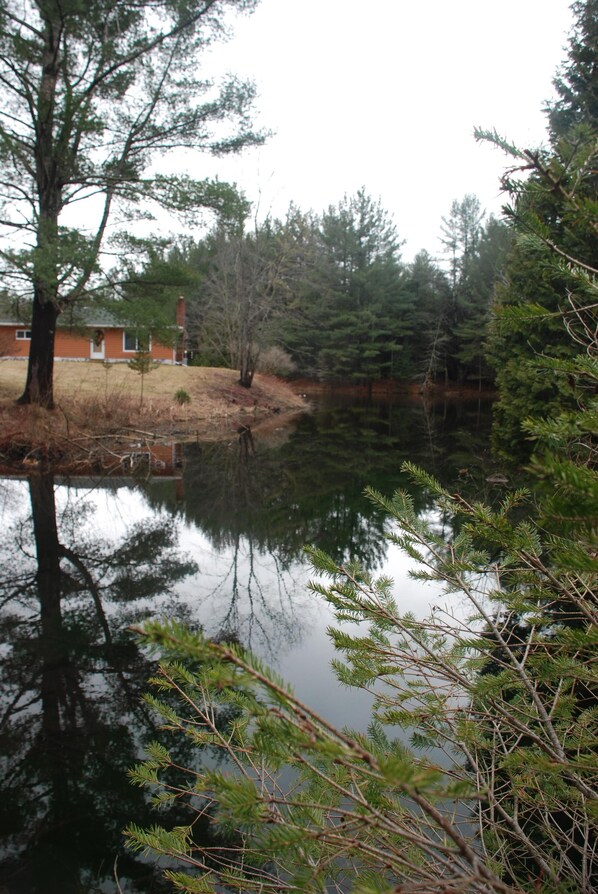 Whispering Pines Cottage