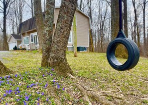 Backyard tire swing adds nostalgia amidst peaceful woodland surroundings.