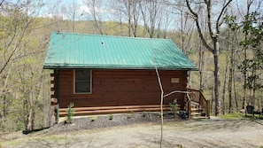 The Bear - driveway side