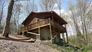 Bear - porches face creek