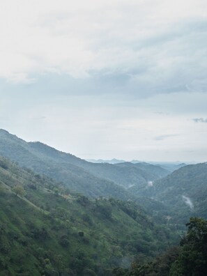 Vista desde la habitación