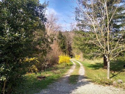 Rodeado de bosques, estribaciones y ríos, amplia casa rural en el País Cátaro