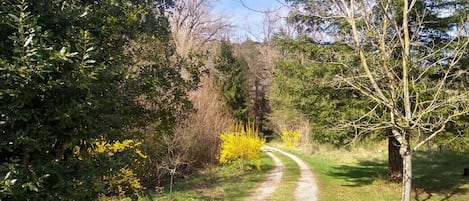 Terrenos do alojamento