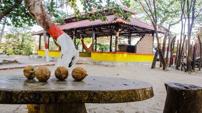 ¡¡Ven a visitar los flamencos rosados !!! ¡¡Vive la experiencia Wayuu !!