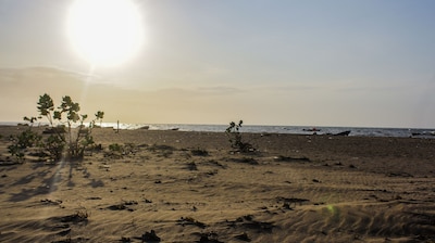 ¡¡Ven a visitar los flamencos rosados !!! ¡¡Vive la experiencia Wayuu !!