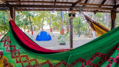 ¡¡Ven a visitar los flamencos rosados !!! ¡¡Vive la experiencia Wayuu !!