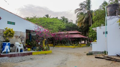 ¡¡Ven a visitar los flamencos rosados !!! ¡¡Vive la experiencia Wayuu !!