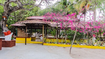 ¡¡Ven a visitar los flamencos rosados !!! ¡¡Vive la experiencia Wayuu !!