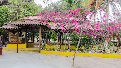 ¡¡Ven a visitar los flamencos rosados !!! ¡¡Vive la experiencia Wayuu !!