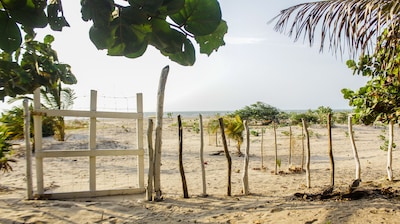 ¡¡Ven a visitar los flamencos rosados !!! ¡¡Vive la experiencia Wayuu !!