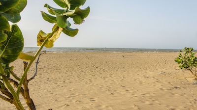 ¡¡Ven a visitar los flamencos rosados !!! ¡¡Vive la experiencia Wayuu !!