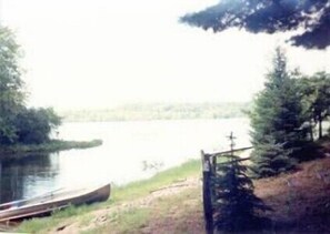 Shoreline view.