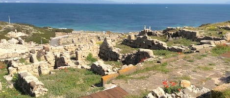 Tharros-San Giovanni di Sinis-Cabras
