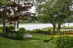 Paddy Cove!