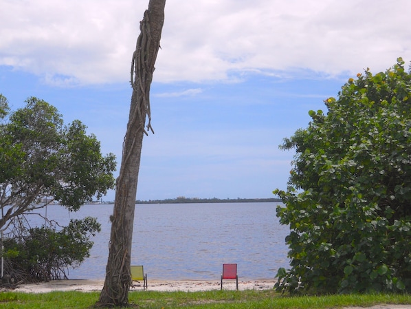 Front yard beach