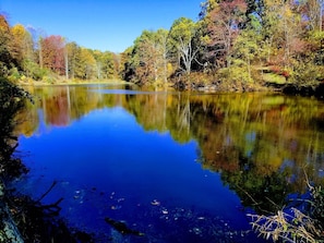 Dragonfly Lake