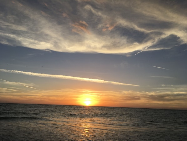 Another day in paradise 