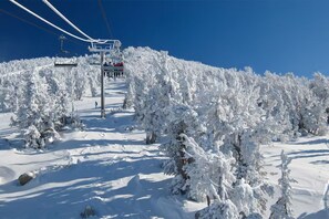 Sne- og skisport