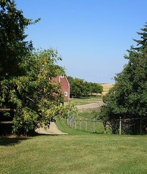 View From Front Porch