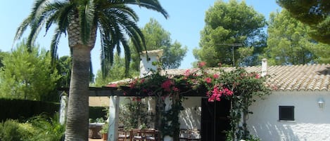 Jardín y piscina