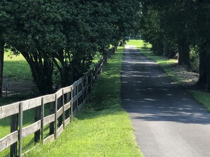 Terrain de l’hébergement 