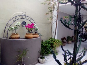 Vista al patio