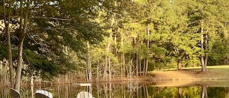 Beautiful place to sit and enjoy the outdoors.