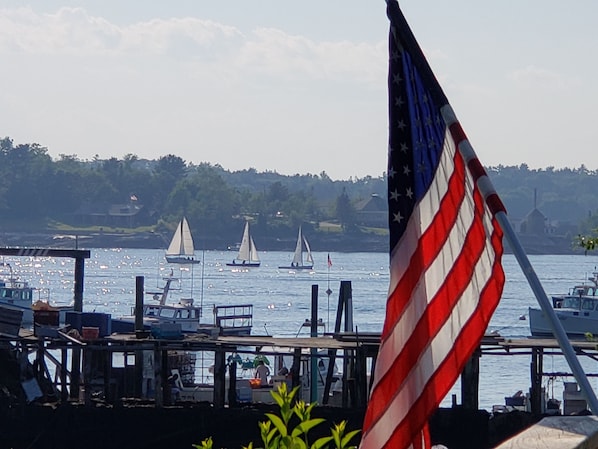 Harbor view from deck